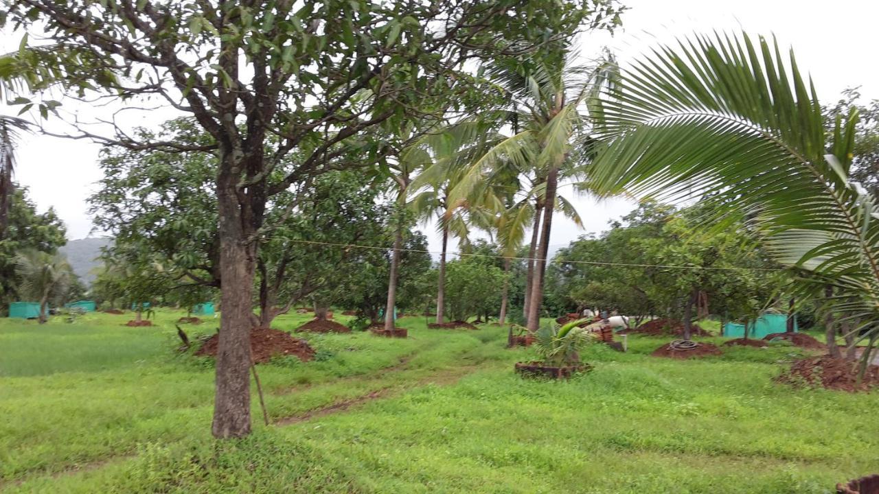 Shree Samarth Farmhouse Murūd Exteriér fotografie