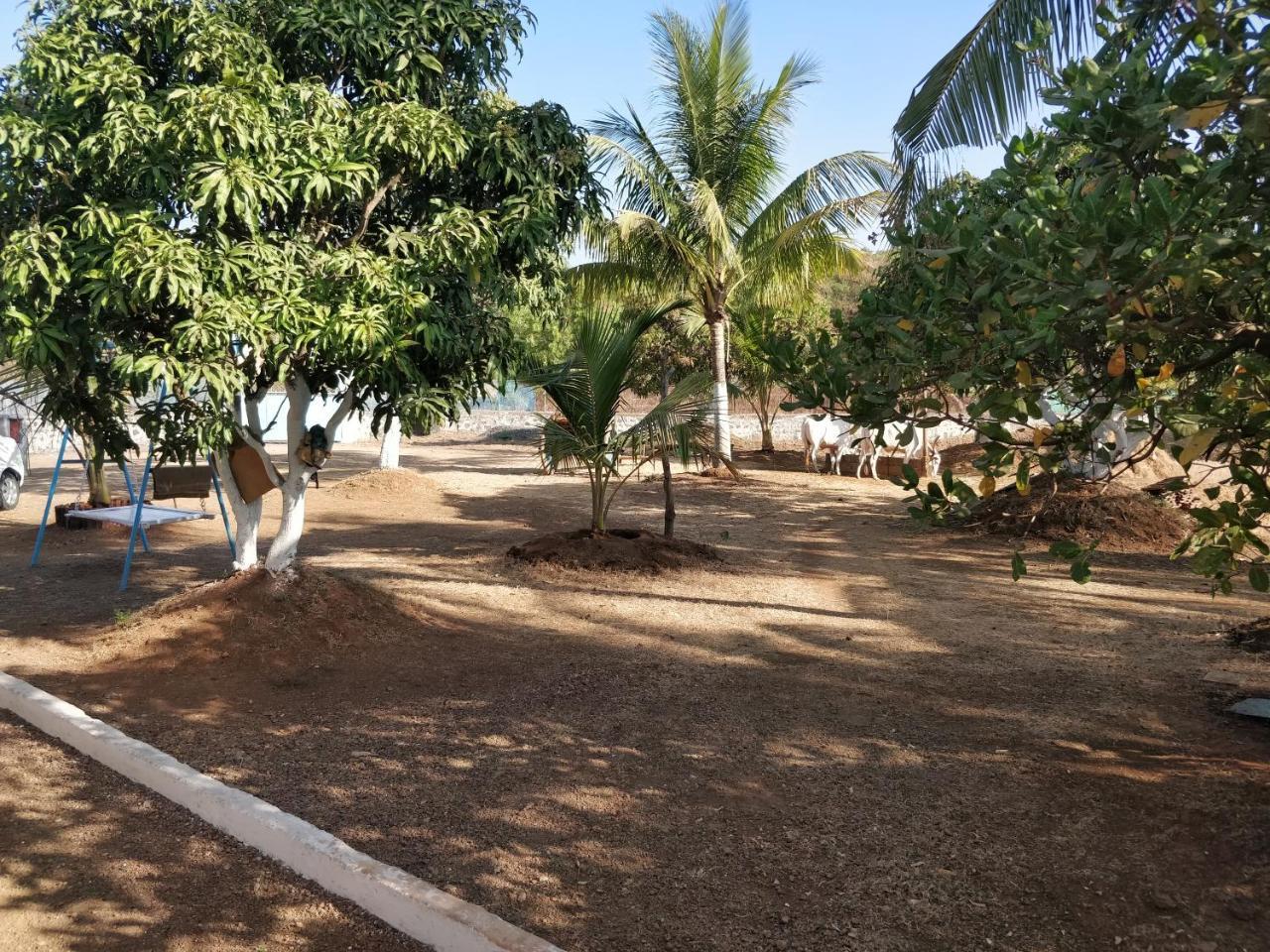 Shree Samarth Farmhouse Murūd Exteriér fotografie