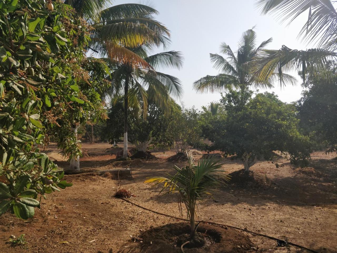 Shree Samarth Farmhouse Murūd Exteriér fotografie